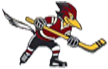  Roadrunner logo 