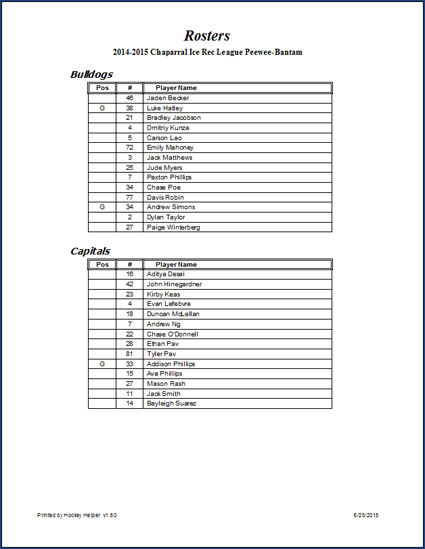 [ Hockey Helper roster print window ]